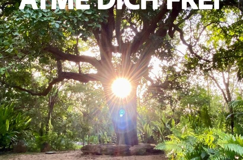 Bewusstes Atmen Breathwork beim Magic Montag in München